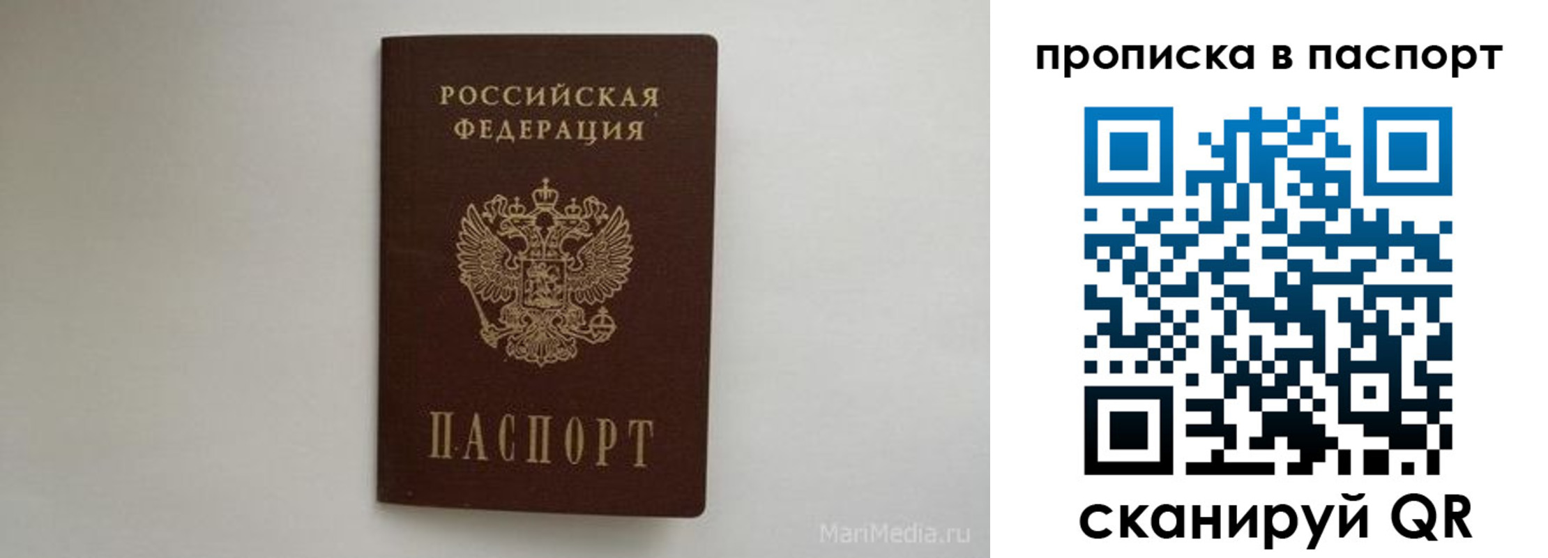регистрация для школы в Светлограде